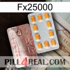 Fx25000 new13
